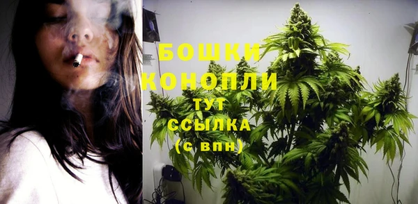 винт Бородино
